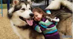 <b>這幾種表現證明狗狗真的很愛你！</b>