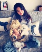 全世界最貴的貓都在這了！大多數(shù)人一輩子都沒