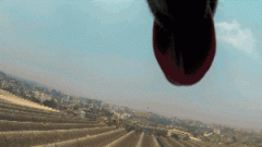 請你放過狗狗，不愛，但請別傷害！