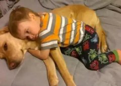 養(yǎng)狗千日，用在一時。。。。。